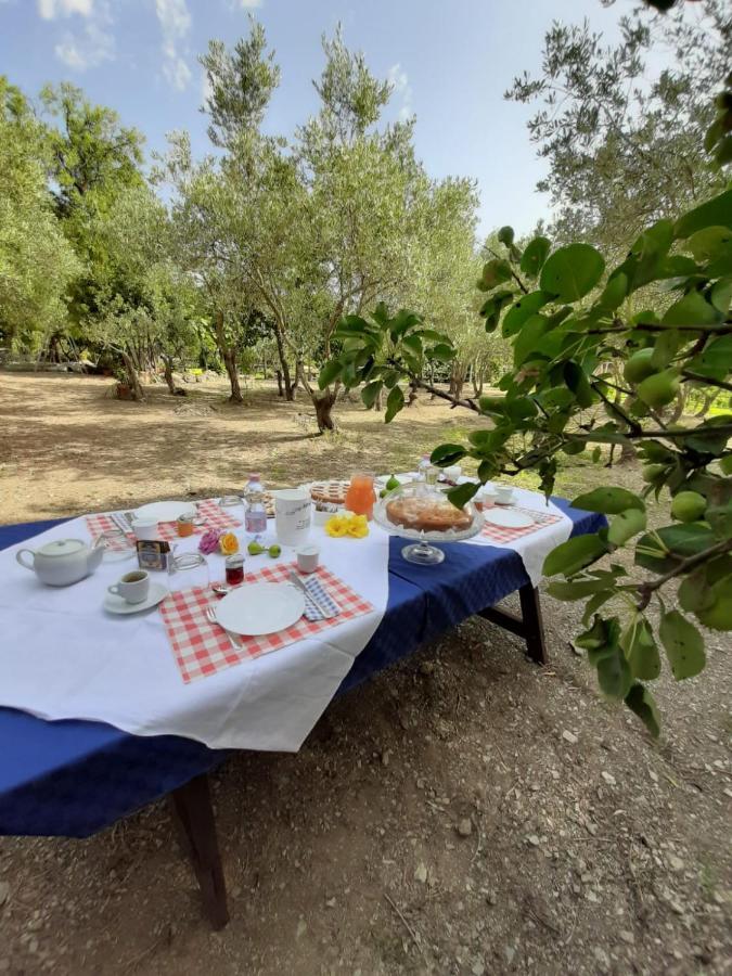 B&B Il Girasole SantʼAnna Arresi 外观 照片