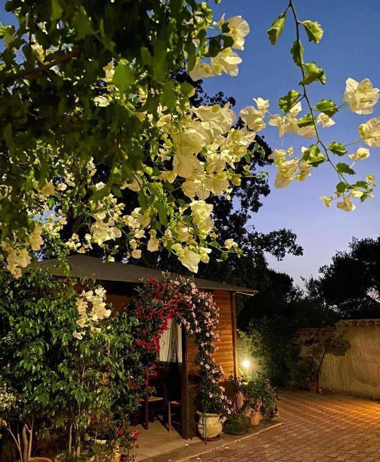 B&B Il Girasole SantʼAnna Arresi 外观 照片