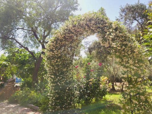 B&B Il Girasole SantʼAnna Arresi 外观 照片