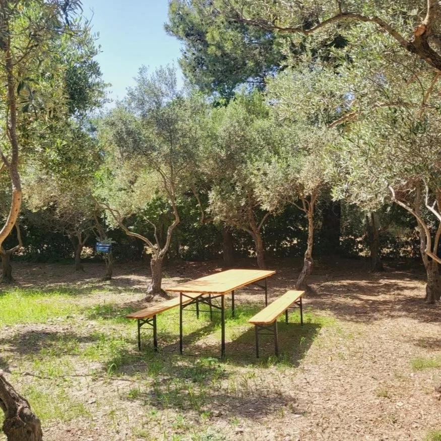 B&B Il Girasole SantʼAnna Arresi 外观 照片