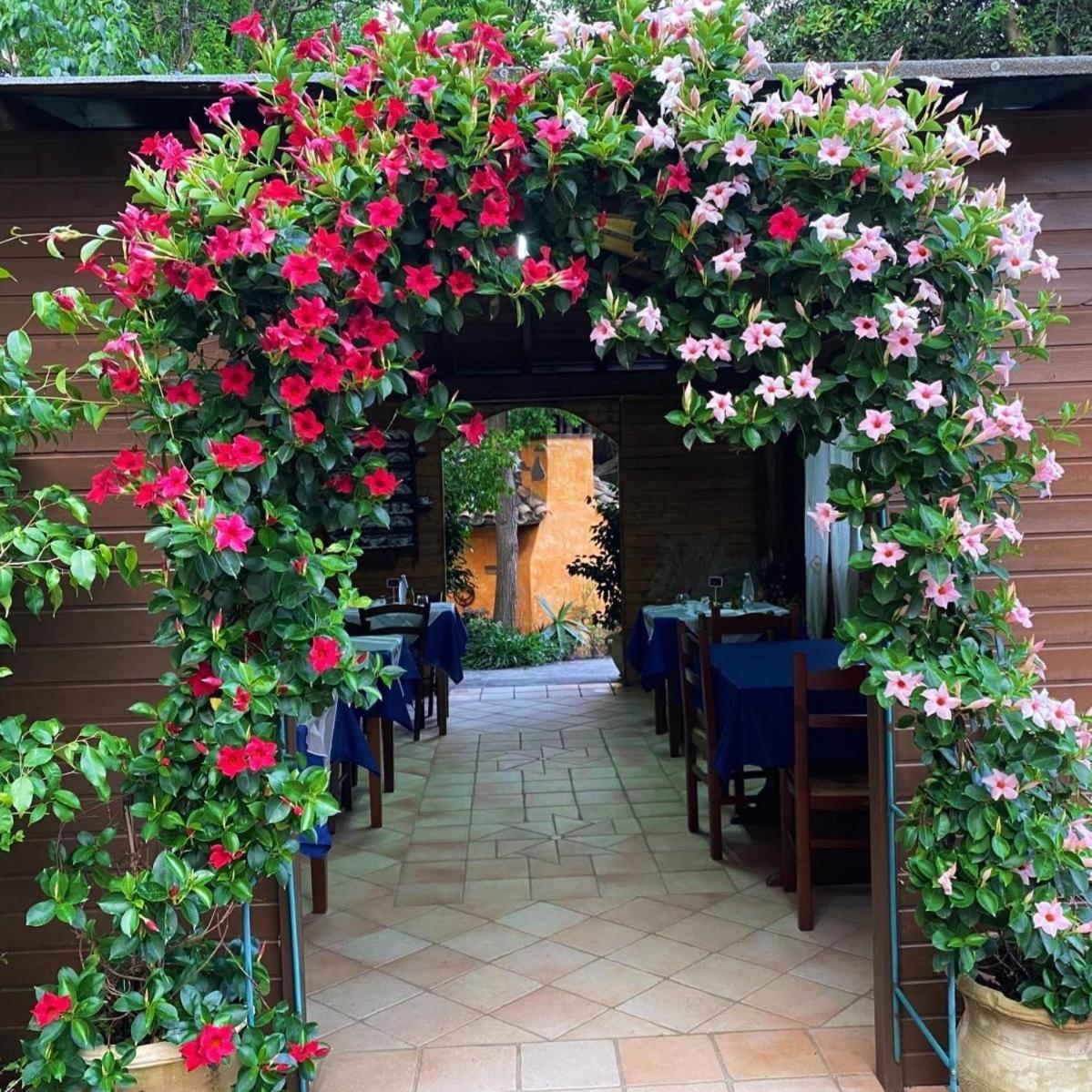 B&B Il Girasole SantʼAnna Arresi 外观 照片
